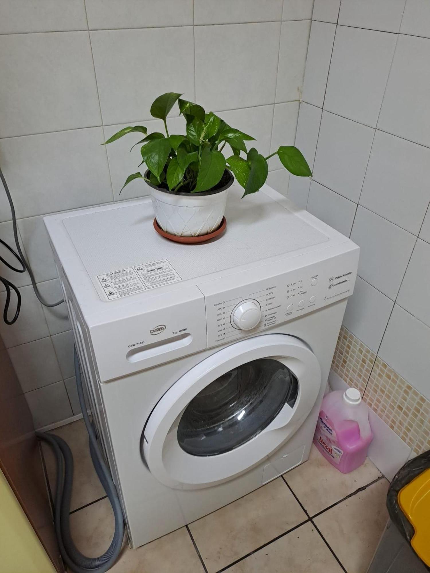 B&B Domus Pina Katanya Dış mekan fotoğraf