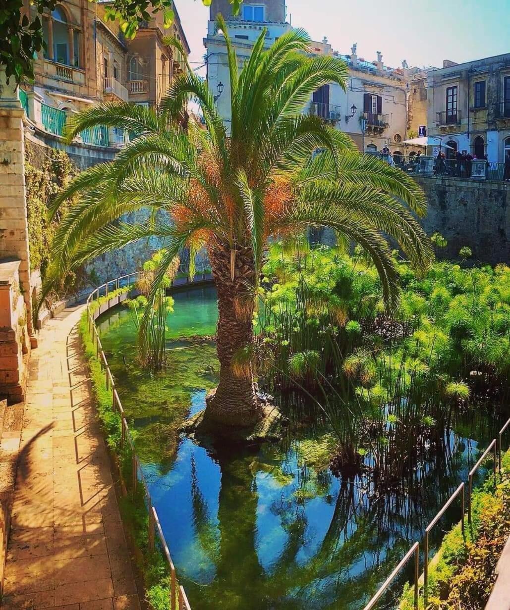 B&B Domus Pina Katanya Dış mekan fotoğraf